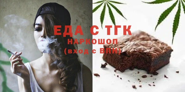 дживик Инта