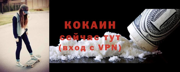 стафф Аркадак