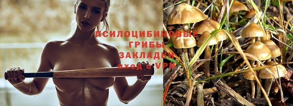 скорость Иннополис