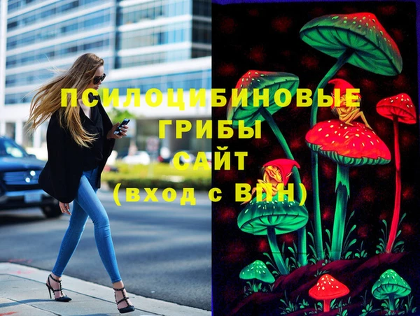 apvp Арсеньев