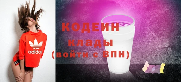 apvp Арсеньев