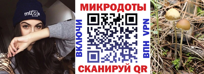 сколько стоит  Омск  сайты даркнета телеграм  Галлюциногенные грибы Psilocybine cubensis 