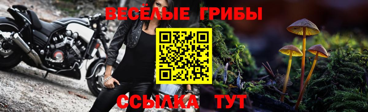 Омск  Галлюциногенные грибы GOLDEN TEACHER  Вход с VPN  Галлюциногенные грибы мицелий 