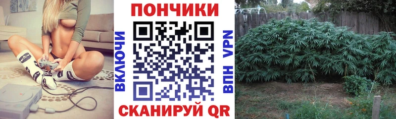 Канабис Ganja Омск
